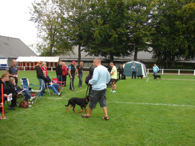 Rødding 2012 søndag