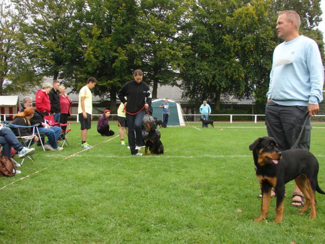 Rødding 2012 søndag