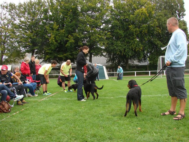 Rødding 2012 søndag