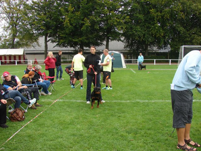 Rødding 2012 søndag