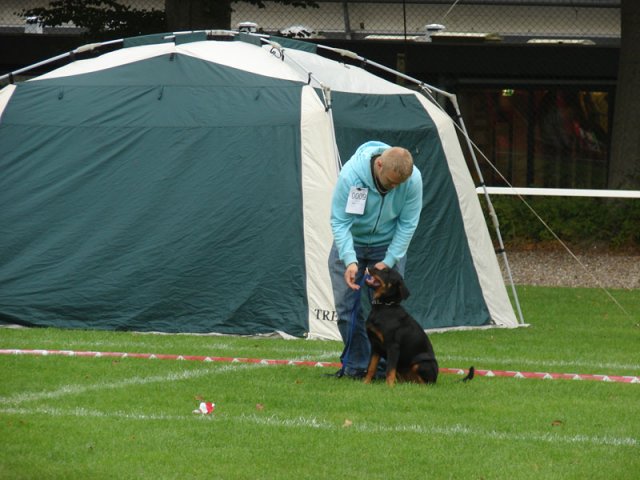 Rødding 2012 søndag