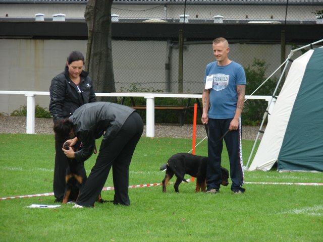 Rødding 2012 søndag