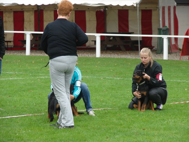 Rødding 2012 søndag