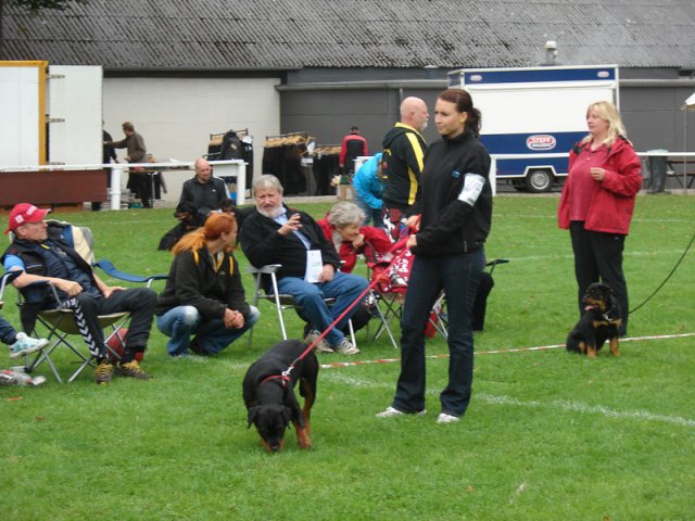 Rødding 2012 søndag
