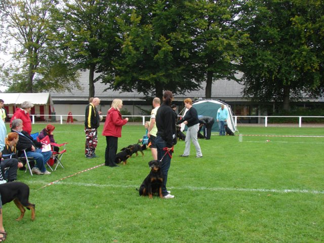 Rødding 2012 søndag