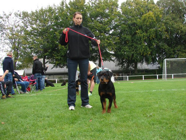 Rødding 2012 søndag
