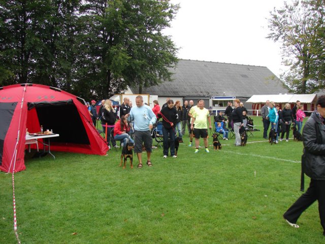Rødding 2012 søndag