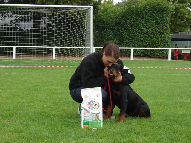 Rødding 2012 søndag