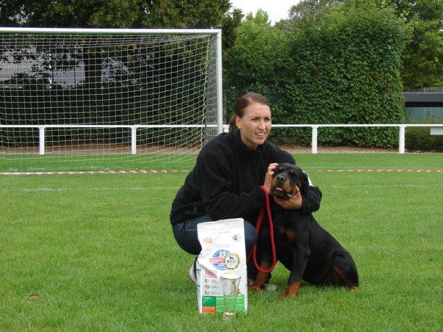 Rødding 2012 søndag