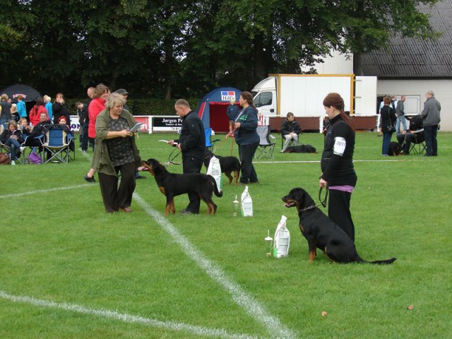 Rødding 2012 søndag
