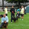 Rødding 2012 søndag