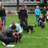 Rødding 2012 søndag