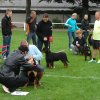 Rødding 2012 søndag