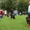 Rødding 2012 søndag