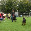 Rødding 2012 søndag