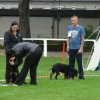 Rødding 2012 søndag