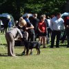 Vejen lørdag 2016