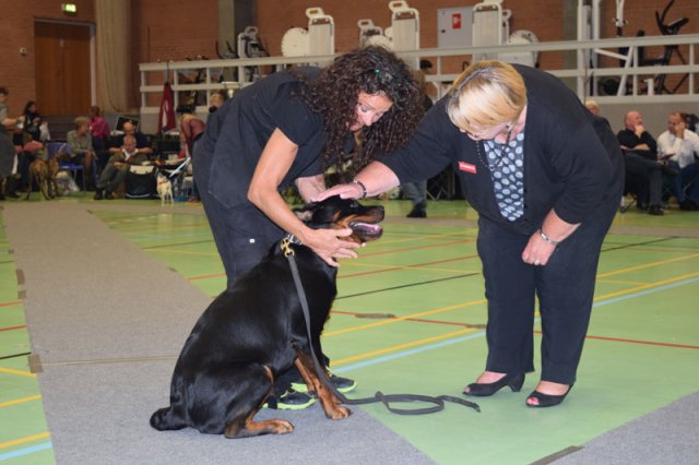 Billund 2015