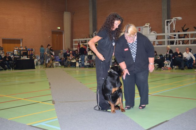 Billund 2015