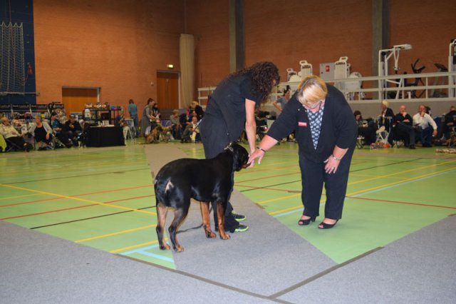 Billund 2015