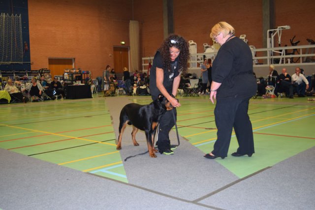 Billund 2015