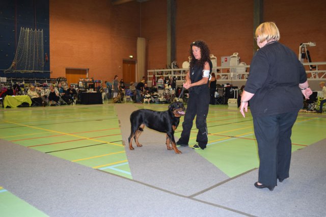Billund 2015