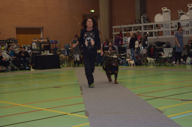Billund 2015