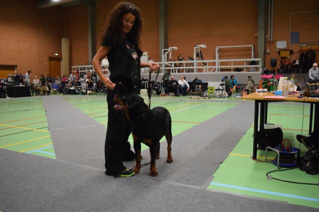 Billund 2015
