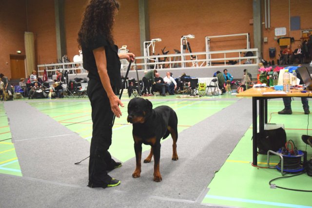 Billund 2015