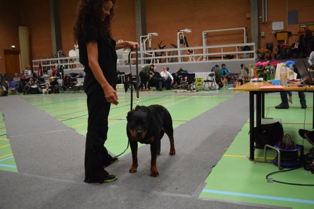 Billund 2015