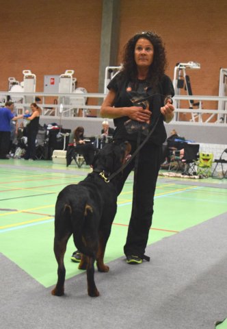 Billund 2015