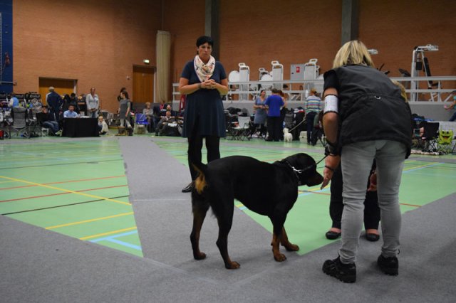 Billund 2015