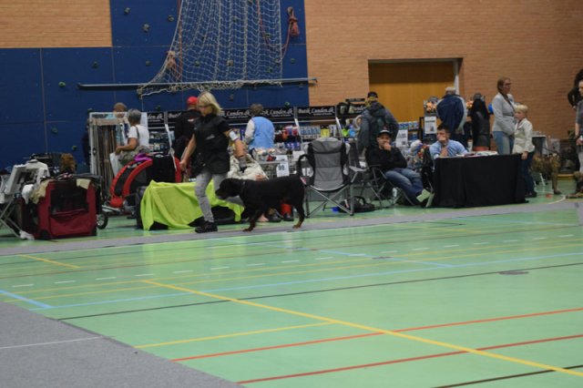 Billund 2015