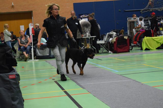 Billund 2015