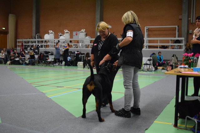 Billund 2015