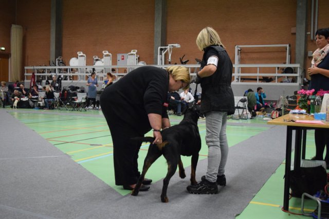 Billund 2015