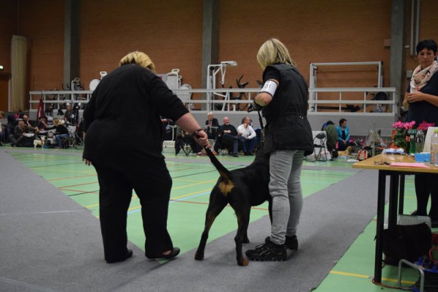 Billund 2015