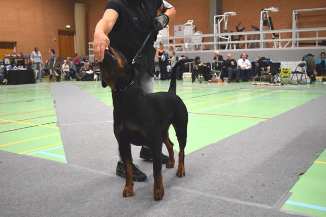 Billund 2015