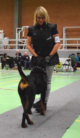 Billund 2015