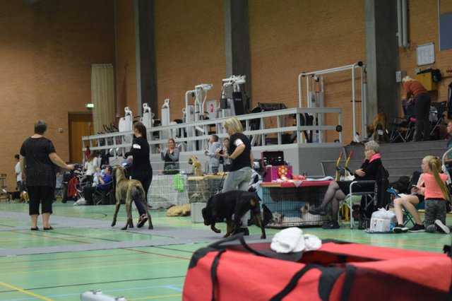 Billund 2015