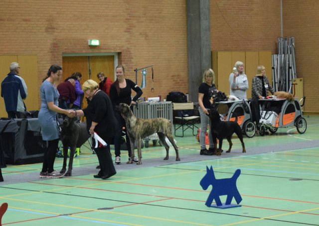 Billund 2015
