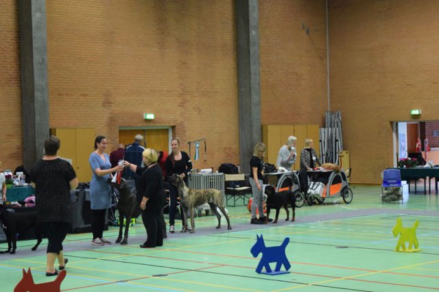 Billund 2015