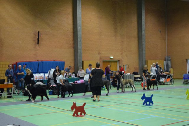 Billund 2015