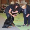 Billund 2015