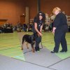Billund 2015