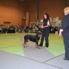 Billund 2015