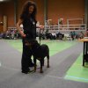 Billund 2015