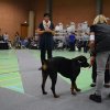 Billund 2015