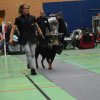 Billund 2015