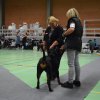 Billund 2015